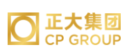 杜集正大集团